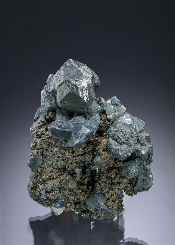 CC12215 specimen image