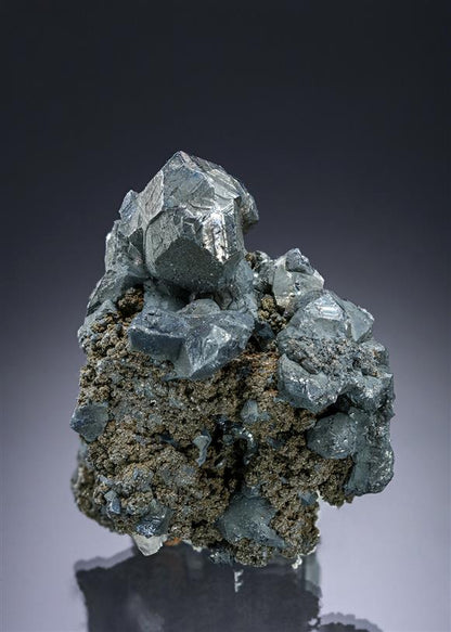 CC12215 specimen image
