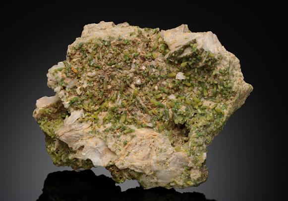CC12235 specimen image