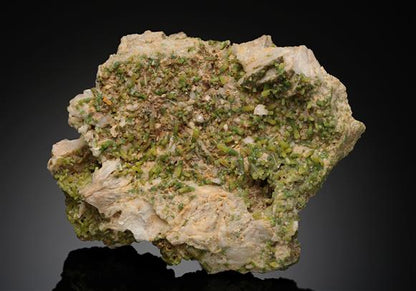 CC12235 specimen image