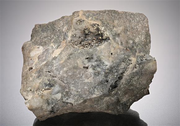 CC12237 specimen image