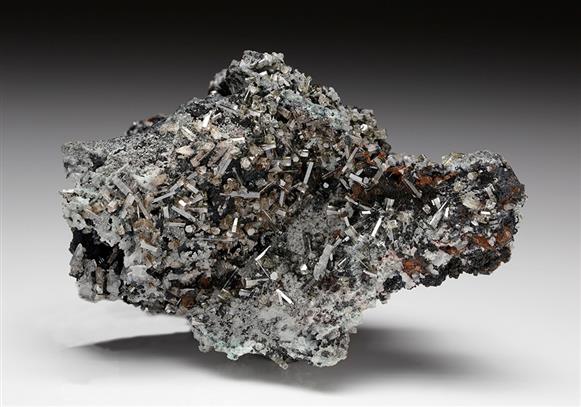 CC12245 specimen image