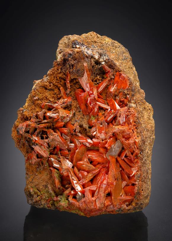 CC12255 specimen image