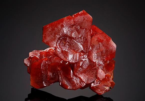 CC12264 specimen image