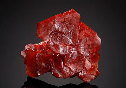 CC12264 specimen image