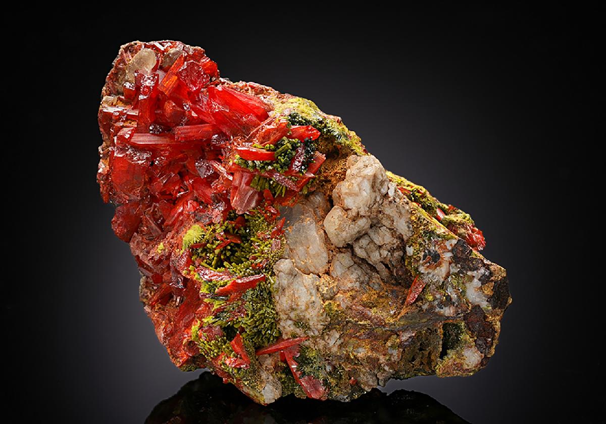 CC12266 specimen image