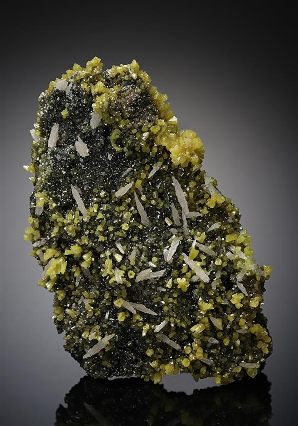 CC12270 specimen image