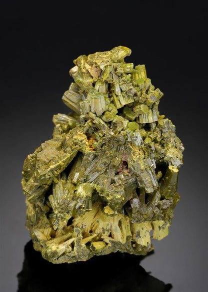 CC12292 specimen image