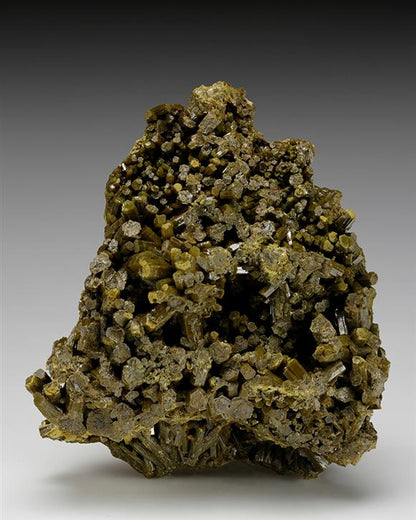CC12294 specimen image
