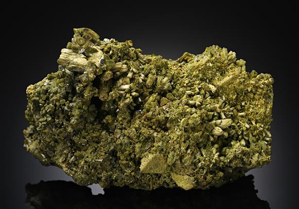 CC12298 specimen image