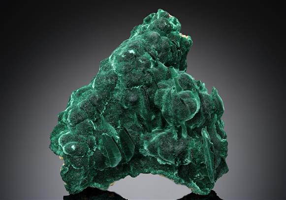 CC12299 specimen image
