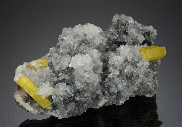 CC12302 specimen image