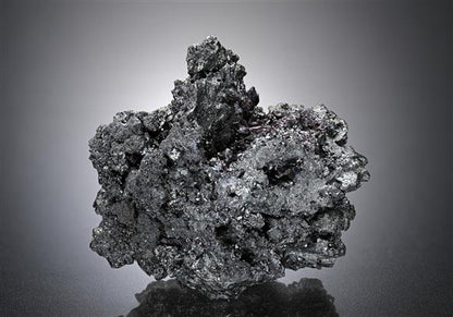 CC12304 specimen image