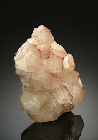 CC12347 specimen image