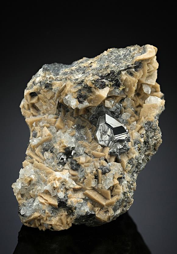 CC12359 specimen image