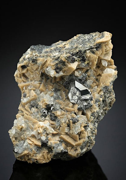 CC12359 specimen image