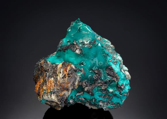 CC12363 specimen image