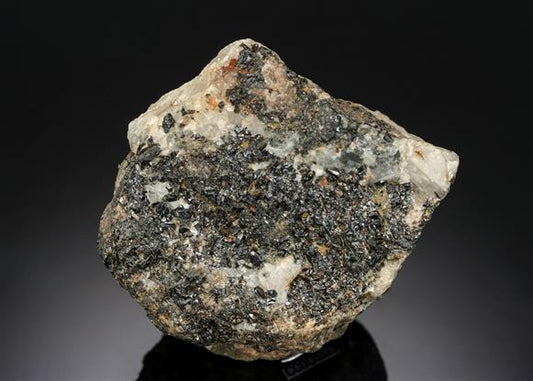 CC12449 specimen image