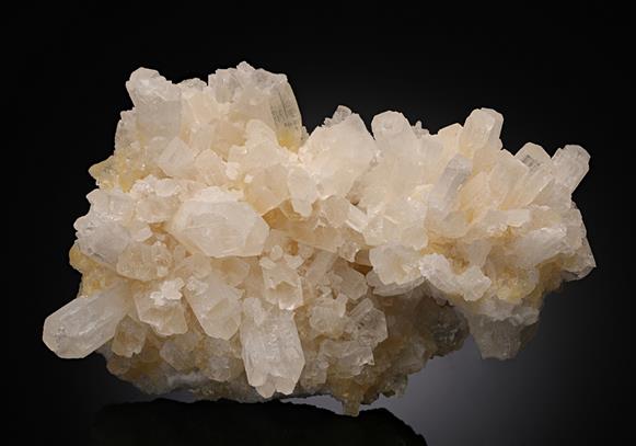 CC12469 specimen image