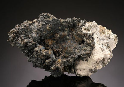 CC12472 specimen image