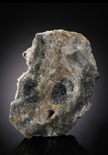 CC12476 specimen image