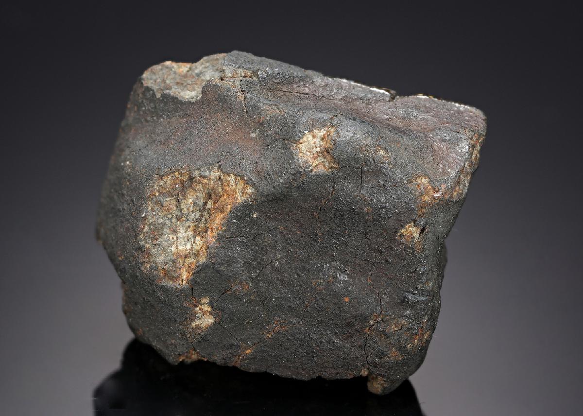 CC12484 specimen image