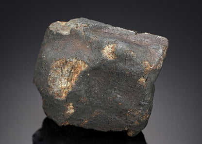 CC12484 specimen image