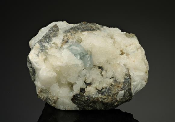 CC12492 specimen image