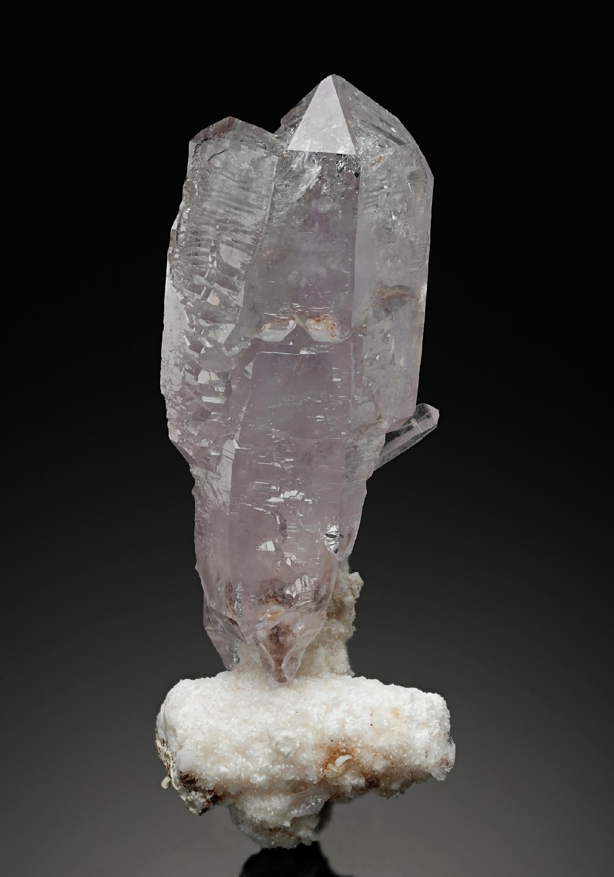 CC12493 specimen image