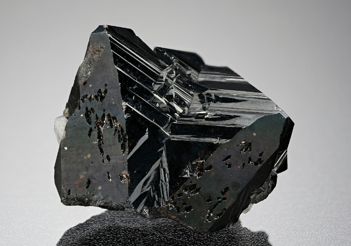 CC12506 specimen image