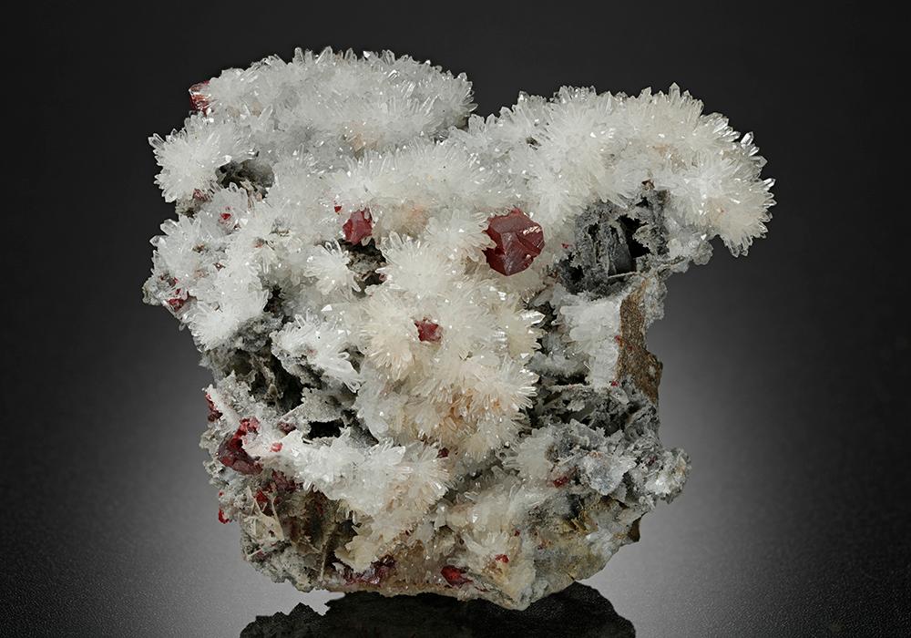 CC12510 specimen image