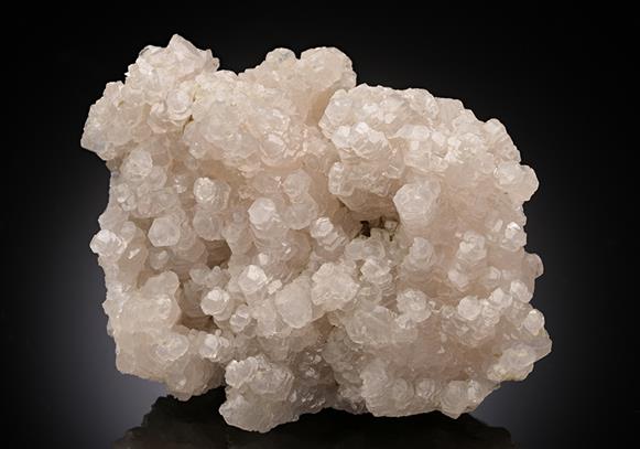CC12520 specimen image