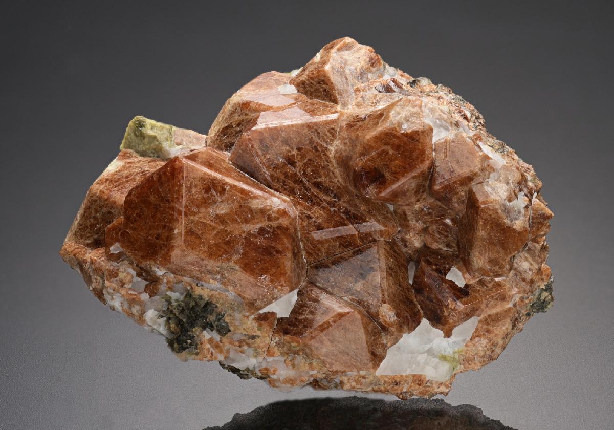 CC12521 specimen image