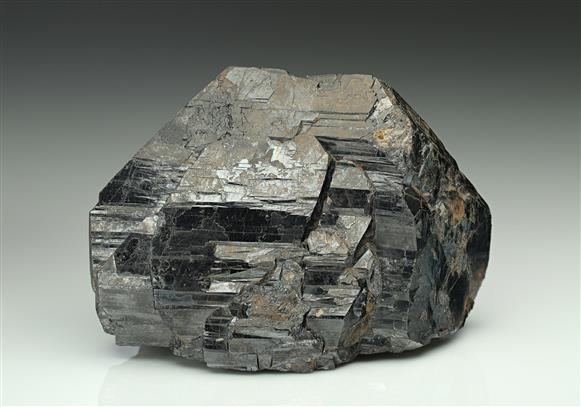 CC12523 specimen image