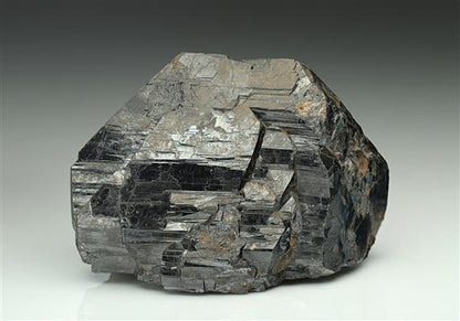 CC12523 specimen image