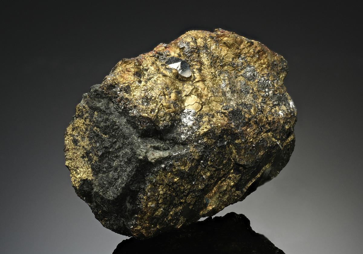 CC12524 specimen image