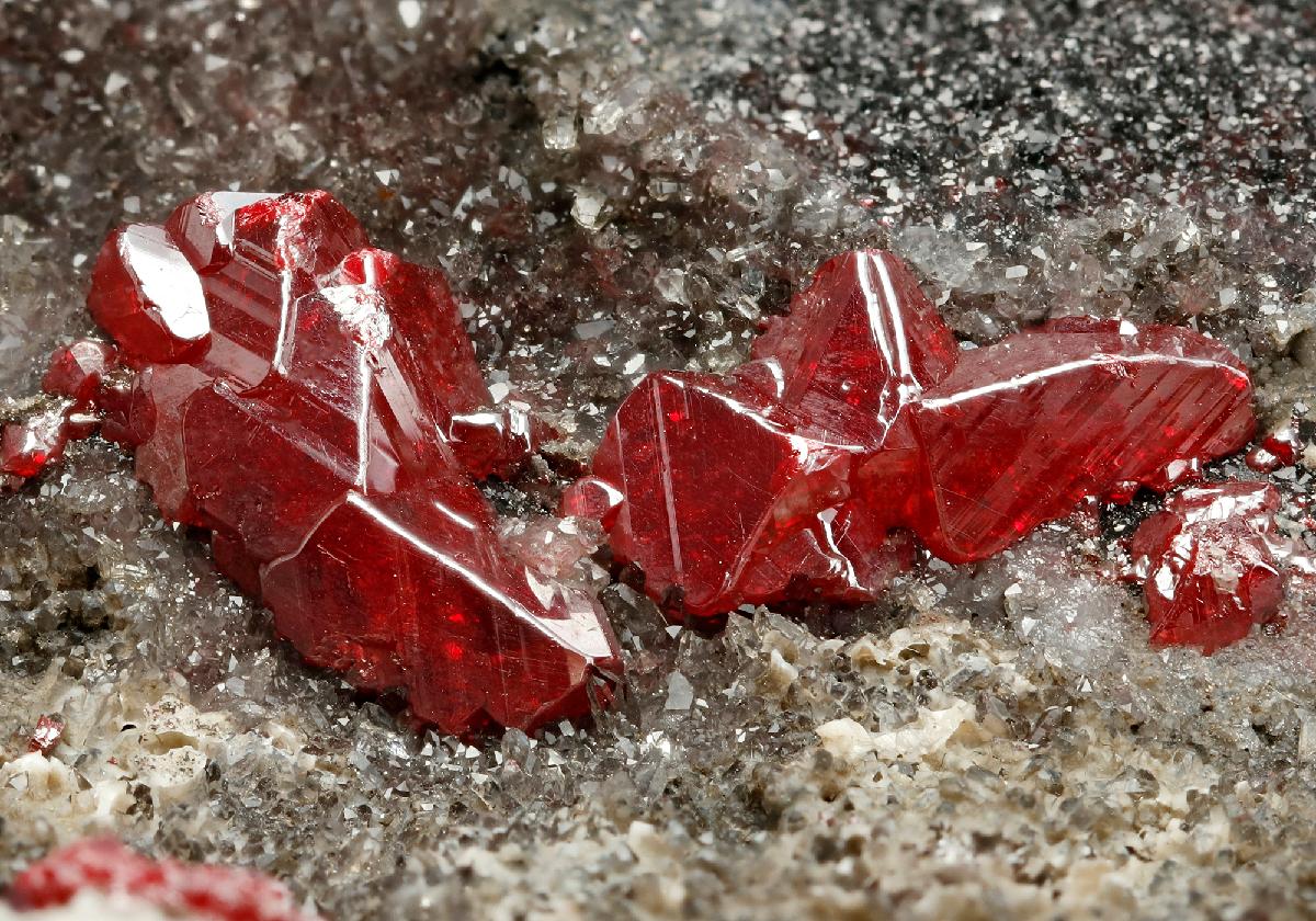 CC12526 specimen image