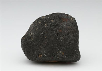 CC12538 specimen image