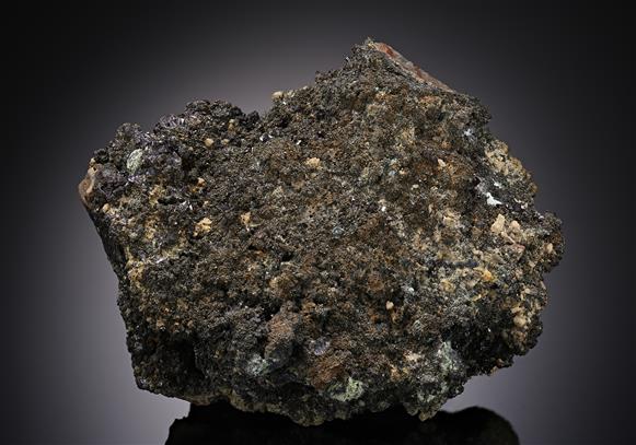 CC12542 specimen image