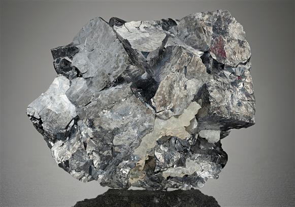 CC12543 specimen image