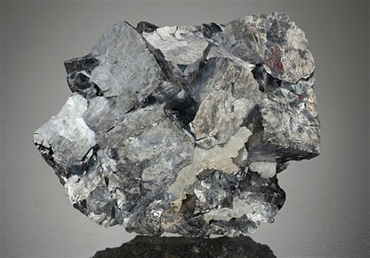 CC12543 specimen image