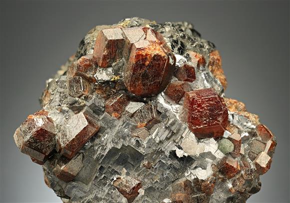CC12545 specimen image