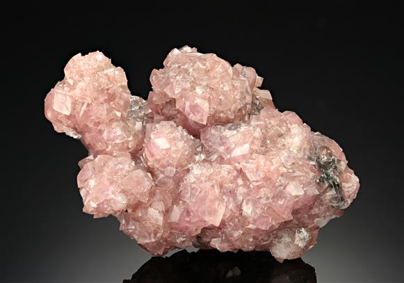 CC12559 specimen image