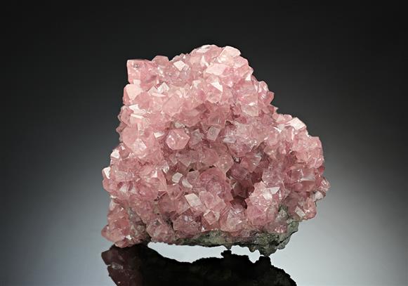 CC12563 specimen image