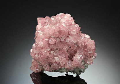 CC12563 specimen image