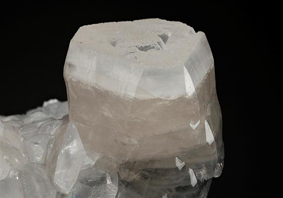 CC12568 specimen image