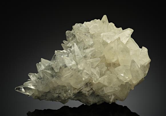 CC12577 specimen image