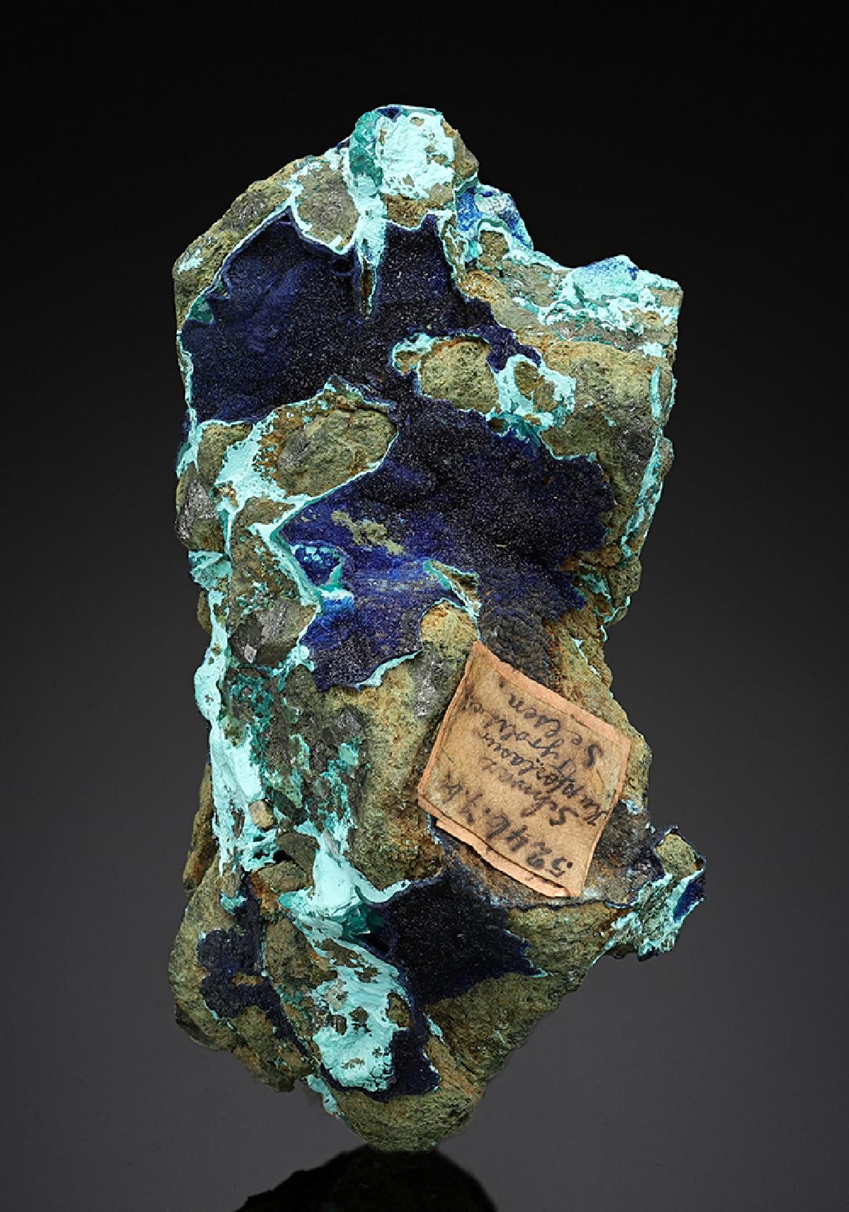 CC12580 specimen image
