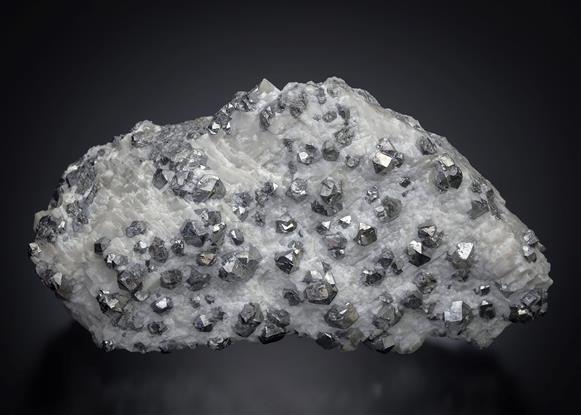 CC12589 specimen image