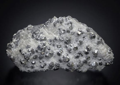 CC12589 specimen image